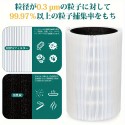 Blue Pure 411 交換用フィルター 空気清浄機 Blue 3210 フィルター パーティクル プラス カーボン 100929/106488 2枚入り